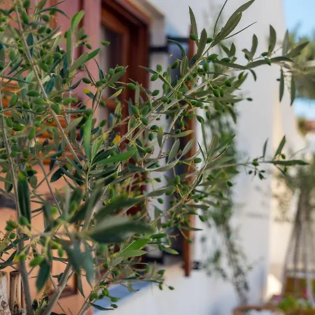 Konstantinos Hotel apartamentowy 3*